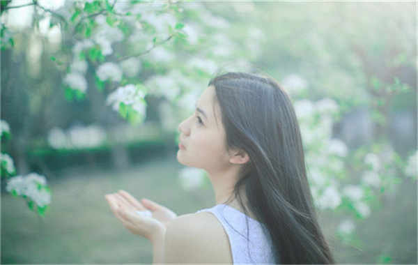 喀喇沁验血查男女几周可以验(验血查男女结果图)